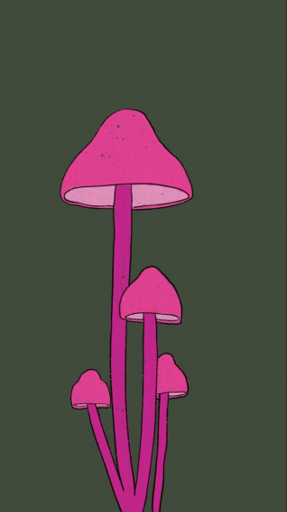 Notastranger Shop Hippie Wallpaper Mushroom