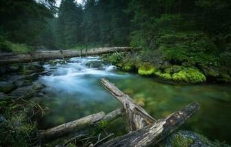 Wallpaper Forest Trees Landscape Nature River Stones