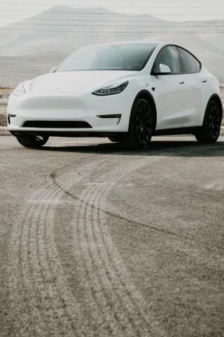 Model Y Pictures Image