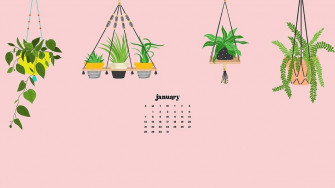 January Wallpaper Bies For Desktop Phones