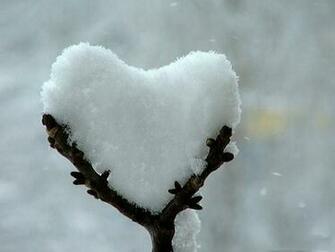 Wallpaper Love Nature
