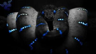 Razer Blue Graffiti Wallpaper And Background Image Net