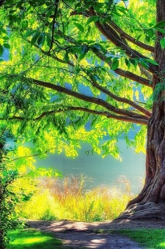 Wallpaper Photo Spring