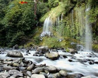 Moving Waterfall Wallpaper Screensaver Weddingdressin