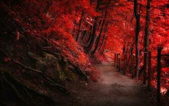 Landscape Nature Fall Red Path Fence Forest Trees