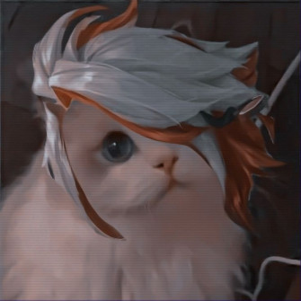 Mlbb X Cat Ideas Kucing Gambar Animasi