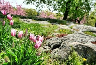 Spring Garden Wallpaper