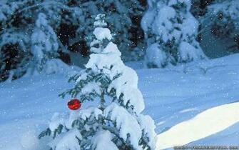 Winter Scene Desktop Background Image