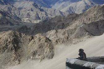 Tibetan Landscape Buddhist Wallpaper