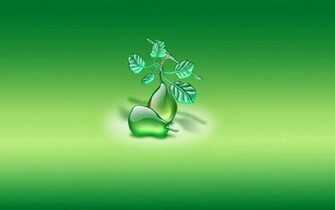 Aqua Green Wallpaper