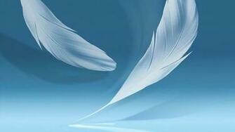 Feather Wallpaper Hq Desktop
