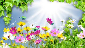 Bright Floral Background For