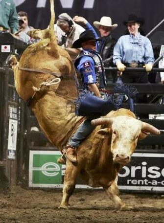 Pbr Wallpaper Gallery For