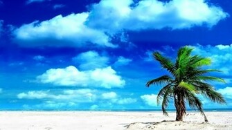 Paradise Island Wallpaper