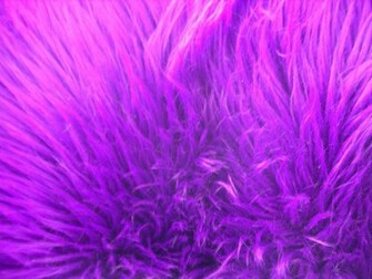 Purple Fur Wallpaper Gallery