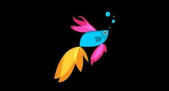 With Windows Blue Comes A New Betta Fish