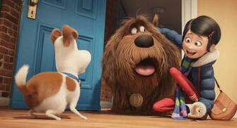 The Secret Life Of Pets Image New HD Wallpaper