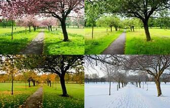 Difference Between Season And Weather