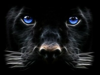 Background Animals Wallpaper Desktop