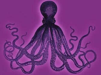 Cute Octopus Wallpaper Purple