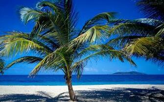 St Croix Ilhas Virgens Us