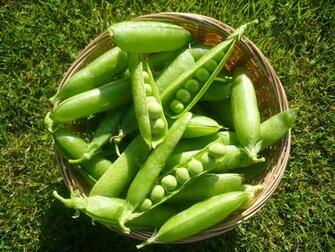 Peas Wallpaper HD