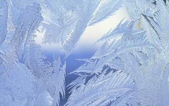 Aesthetic Snow And Frost HD Wallpaper Landscape