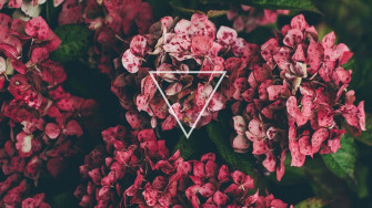 Laptop Wallpaper