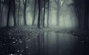 Spooky Wallpaper Top Background