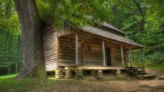 Deserted Wooden Cabin In The Woods Wallpaper