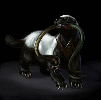 Honey Badger Team Logo Taunt