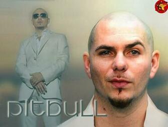 Pitbull Rapper Wallpaper Amp Pictures HD