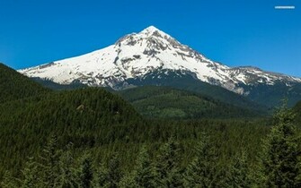 Pretty Green Forest Mountain Wallpaper