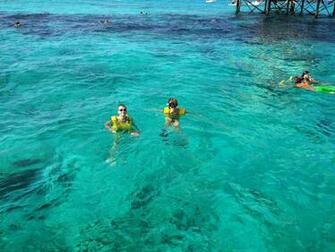 Key West Coral Reef Wallpaper Reefs Of The Keys