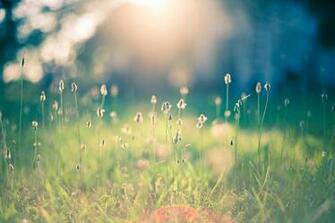 Inspiring Background Image