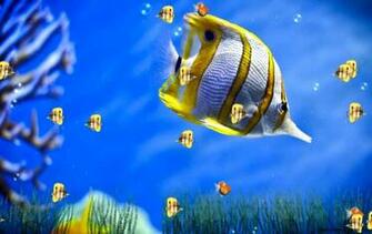Desktop Background Bergerak Windows Wallpaper