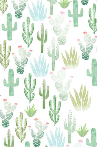 Cactus iPhone Wallpaper