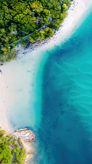 Beach Coastline Aerial Nature Forest 4k Phone iPhone