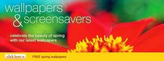 Wallpaper Screensavers At American Greetings