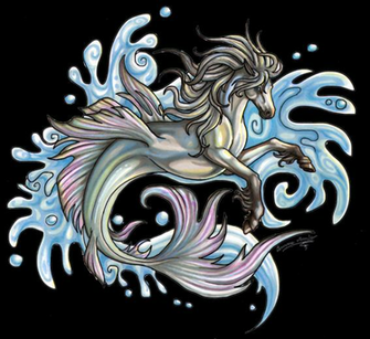 Hippocampus By Sunima