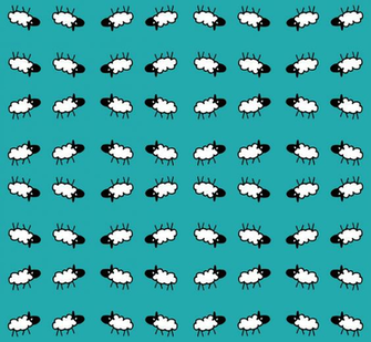 Teal Background Rrsheep
