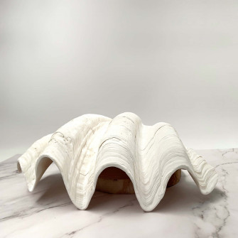 A Closeup Of Clam Shell On Sandy Beach Wallpaper