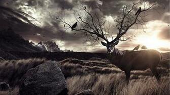 Deer Hunting Wallpaper HD