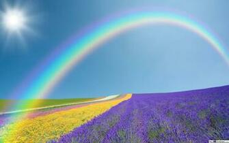 Natura Fiore Arcobaleno Di Sfondi HD