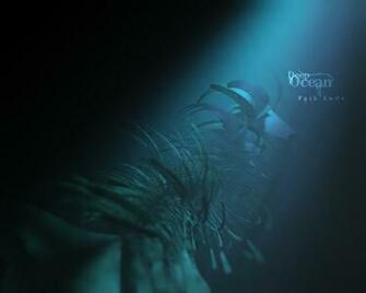 Deep Sea Wallpaper