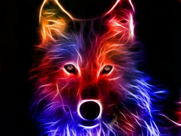 Blue Fox Wallpaper On