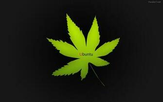 Pin Weed Wallpaper Other Want Cancer Zodiac Sign Tattoos Dope Picture