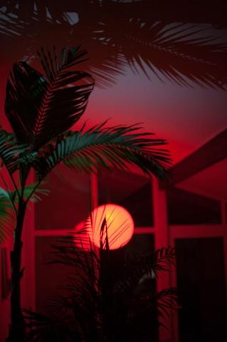 Red Aesthetic iPhone Wallpaper Top
