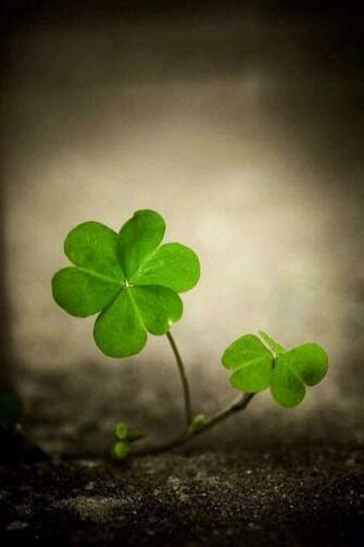 iPhone Wallpaper St Patrick S Day Tjn