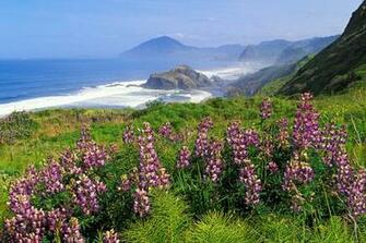 Great California Widesreen HD Wallpaper Res
